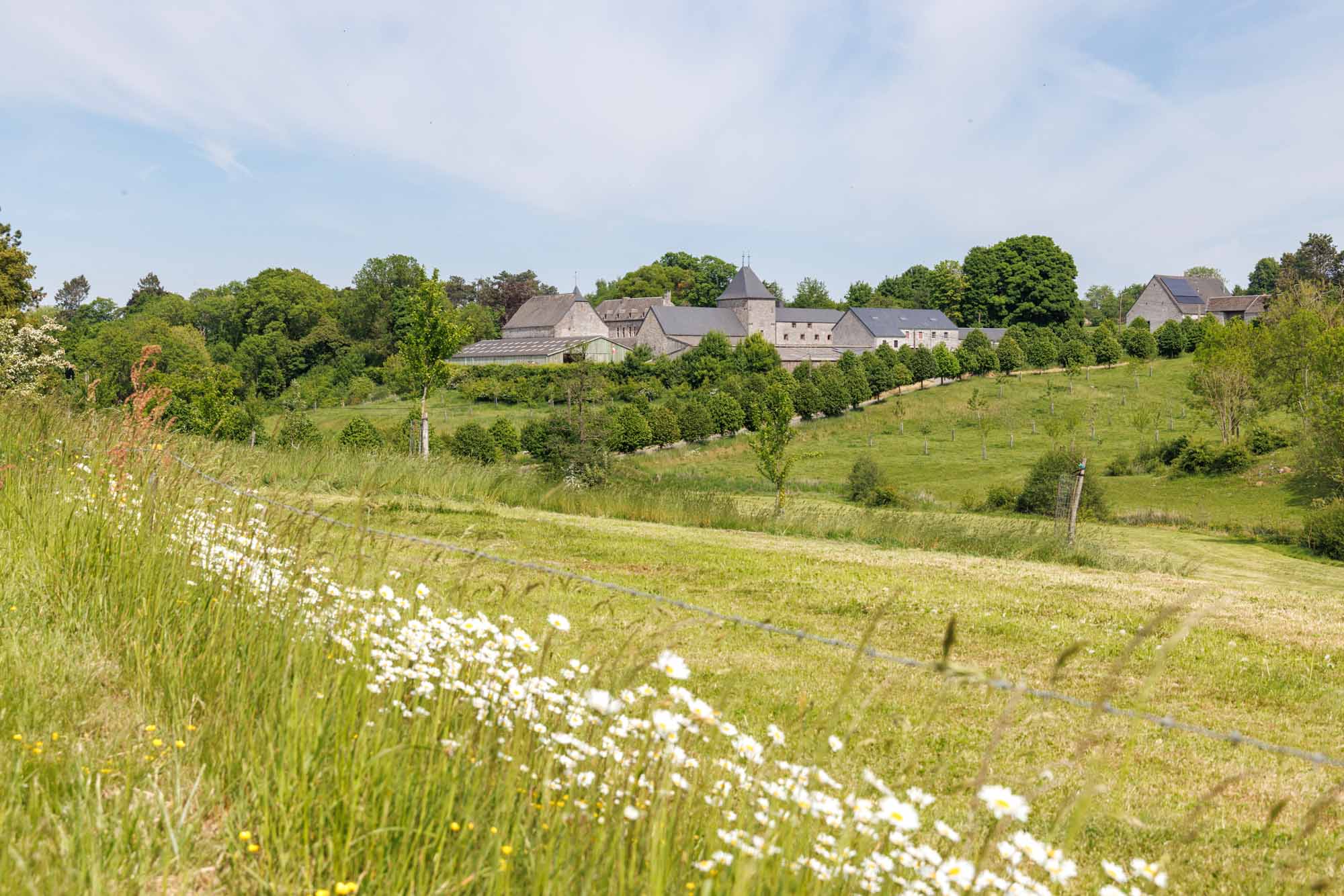 Ferme du Perron à Goesnes au cœur des prairies verdoyantes du Condroz, par une journée de printemps.
