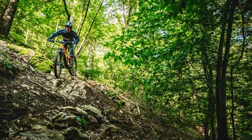 Mountain bike in de Ardennen: onze tips