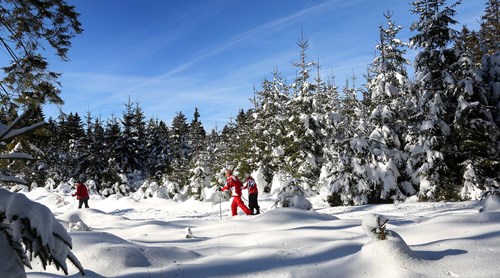 Ski in de Ardennen: een overzicht van de mooiste wintersportlocaties