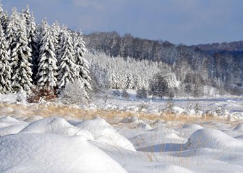 ardenne residences saint-hubert 6870 region landscapes fens winter