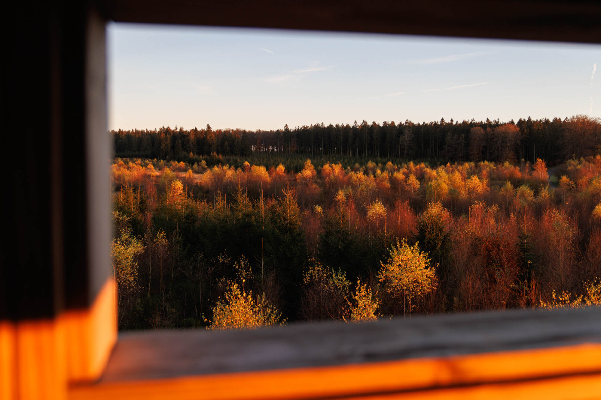 L'automne sur le plateau des Tailles à Manhay