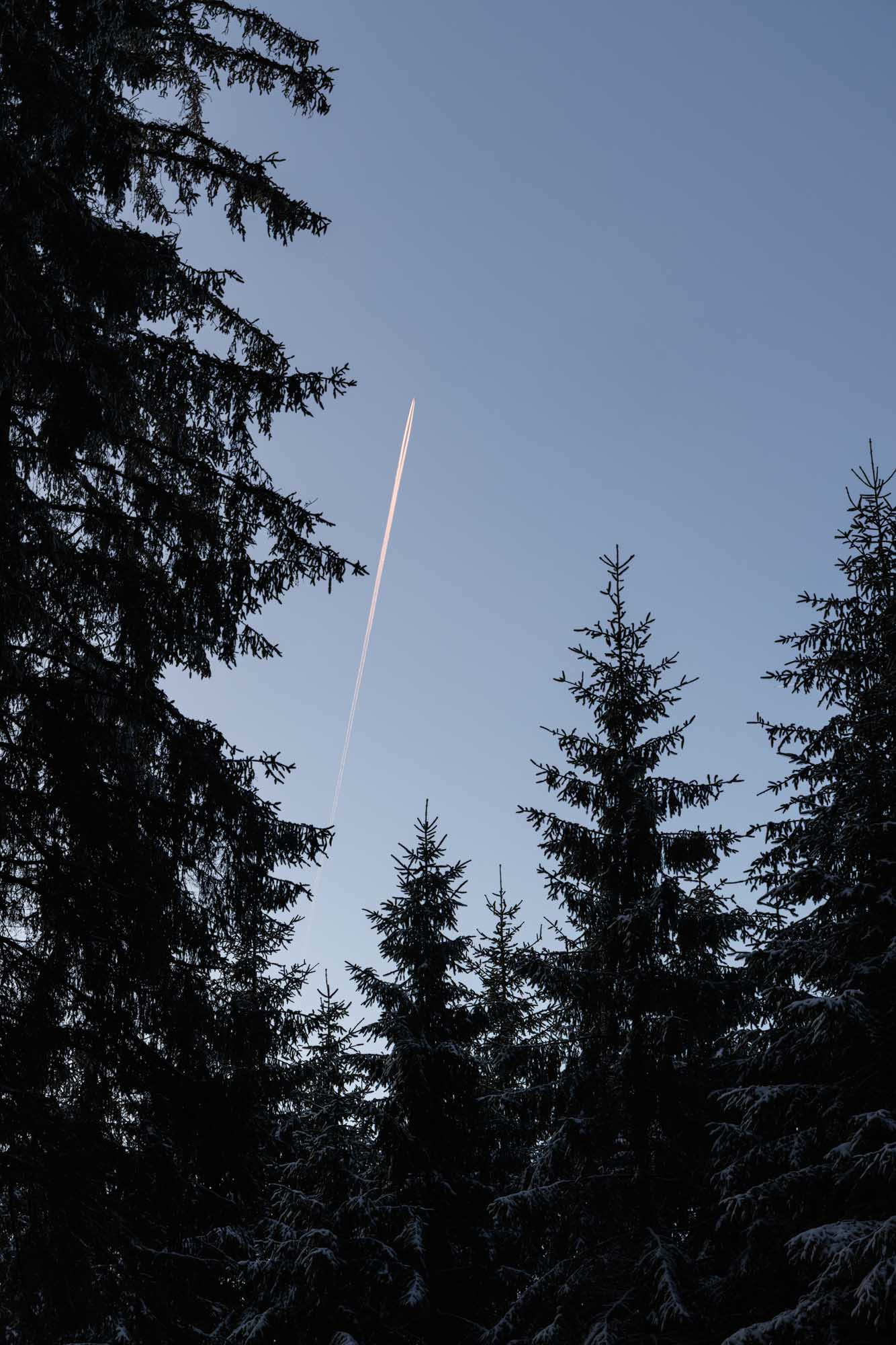 Grande Forêt de Saint-Hubert au crépuscule avec sapins sombres et traînée d’avion