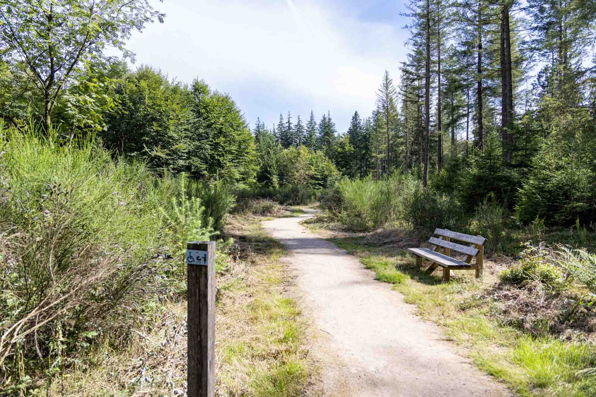 Parcours sensoriel So Bechefa sur les hauteurs de Vielsalm