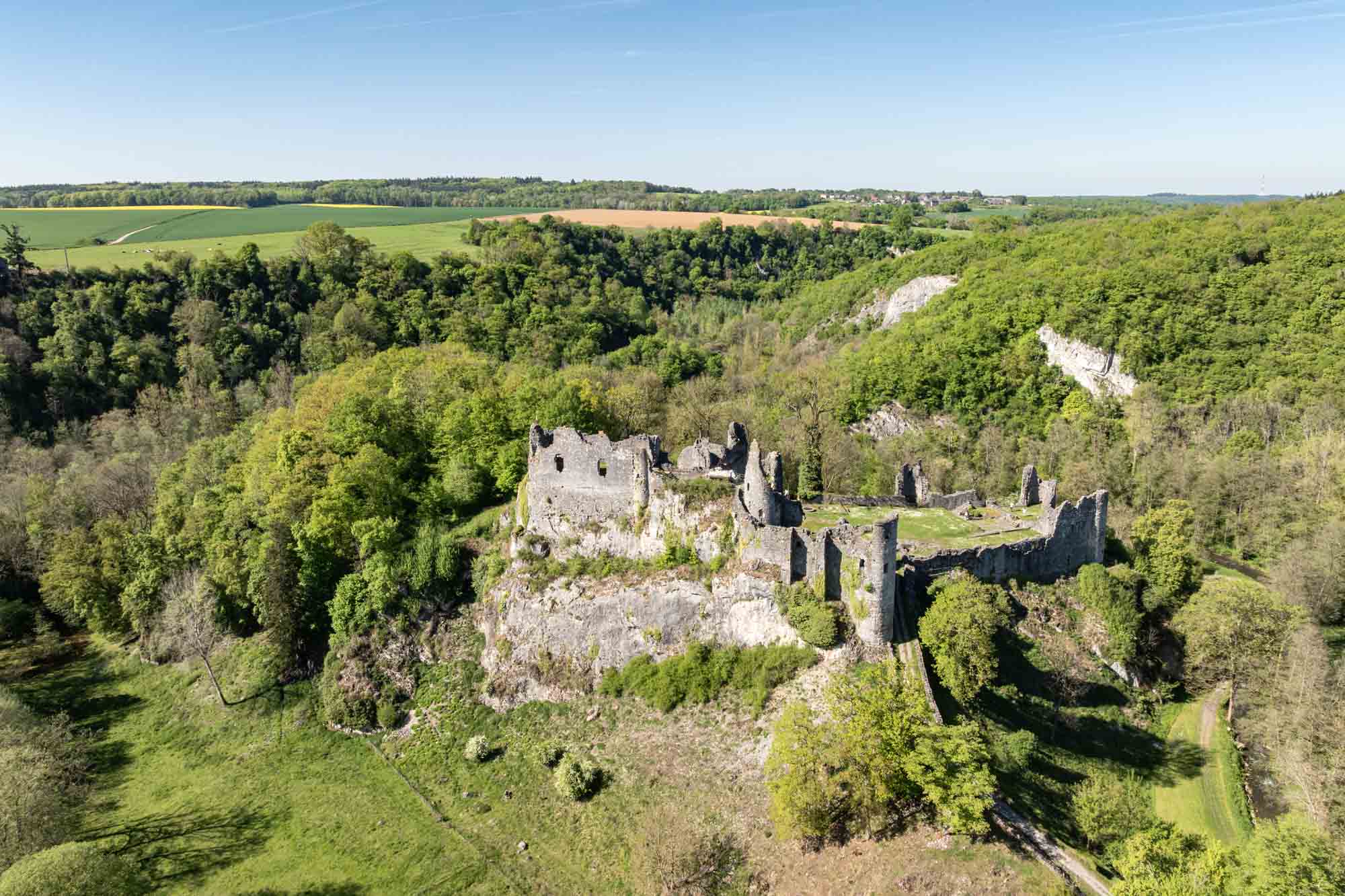 Les ruines du château de Montaigle sur un éperon rocheux, entourées de végétation printanière.
