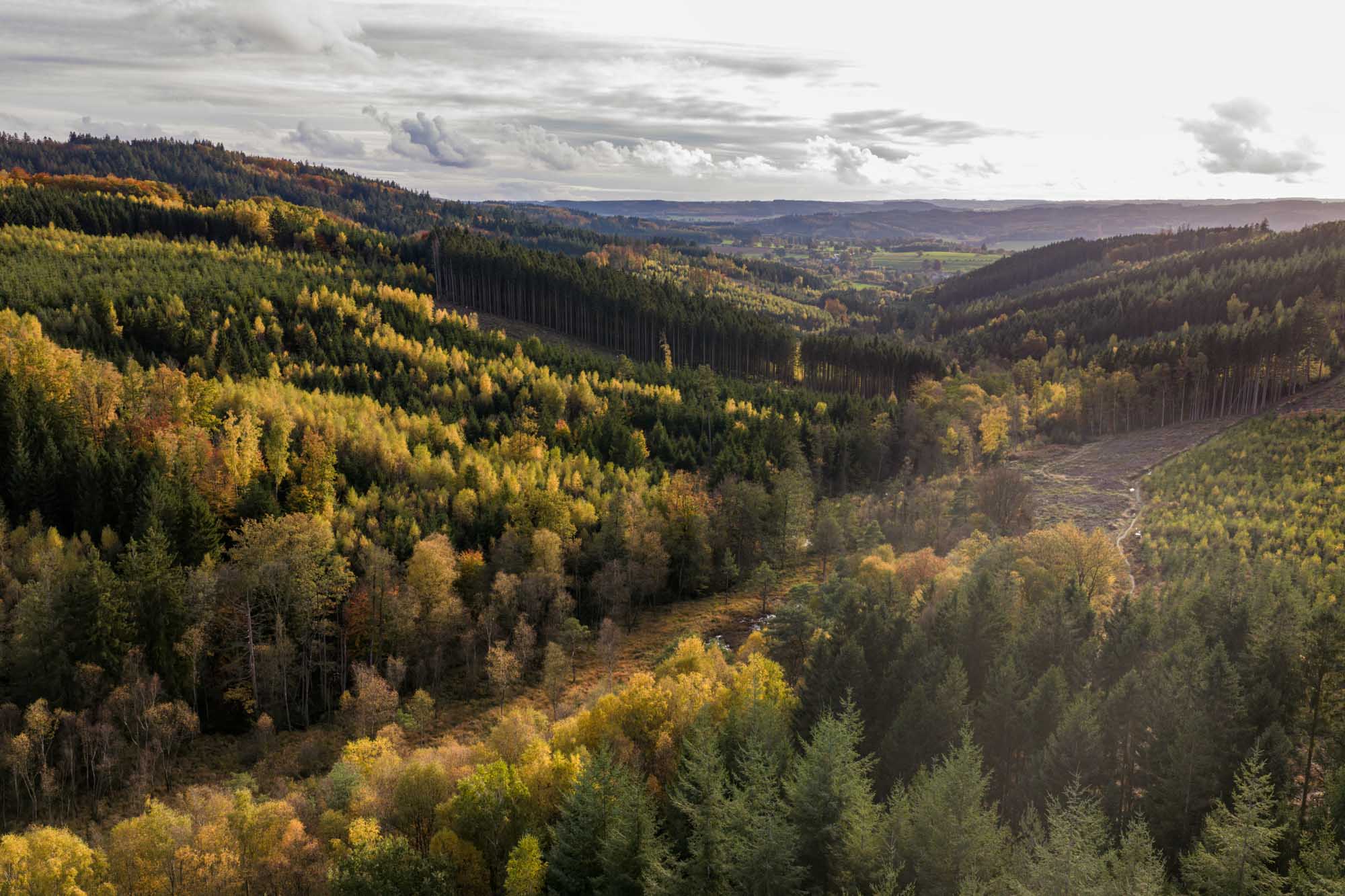 Beboste valleien van Logbiermé in herfstkleuren onder een bewolkte hemel