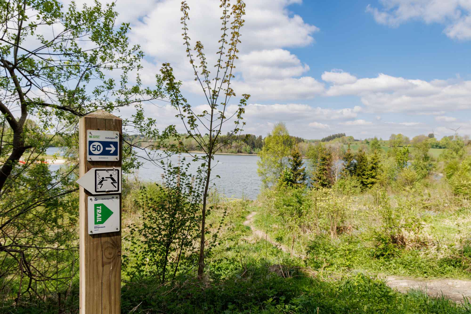 Wandeling Bütgenbach met wegwijzer bij het meer en voorjaarsvegetatie