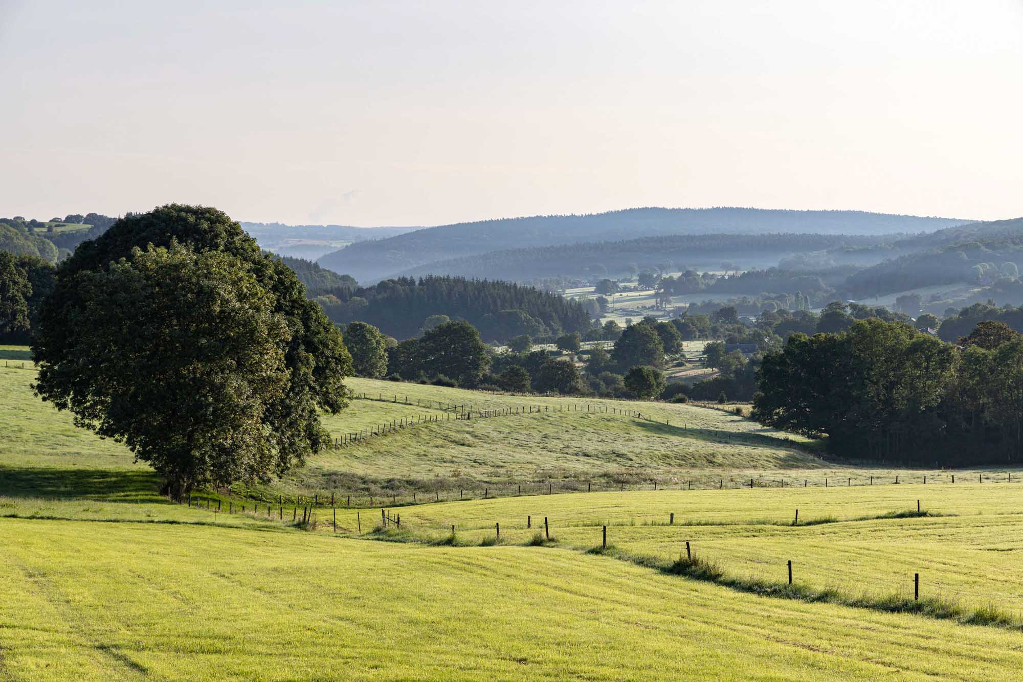 Vue sur les campagnes depuis le village de Hautregard