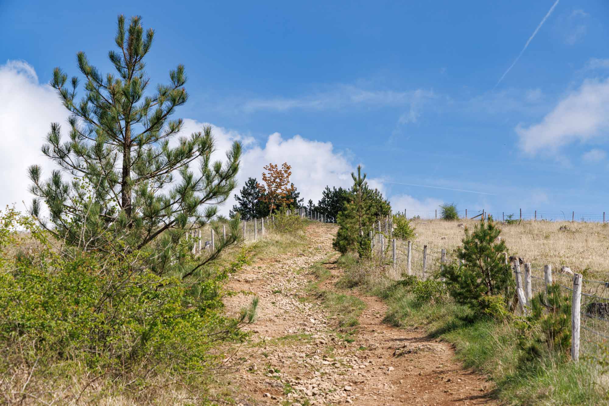 Wandelpad naar de top van de Mont des Pins, tussen Barvaux en Bomal