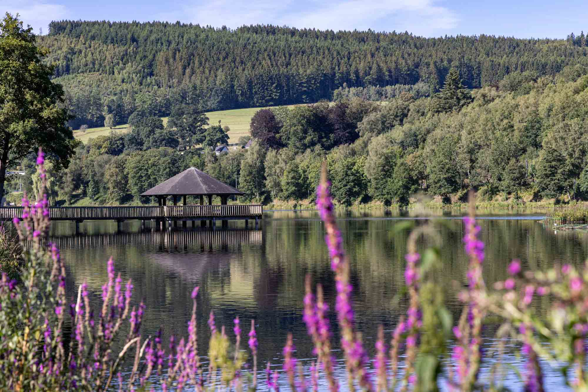 Ponton sur le lac des Doyards à Vielsalm