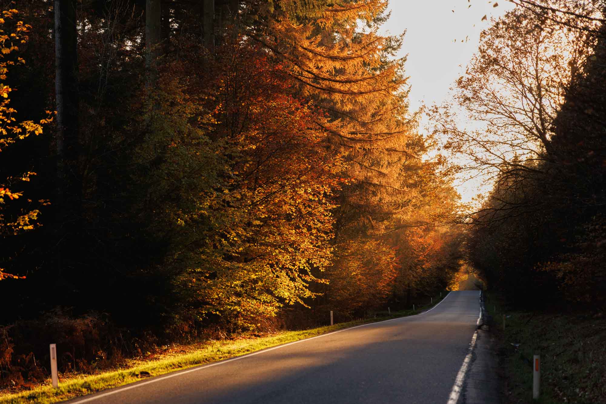 Ardeense weg in de herfst in Courtil