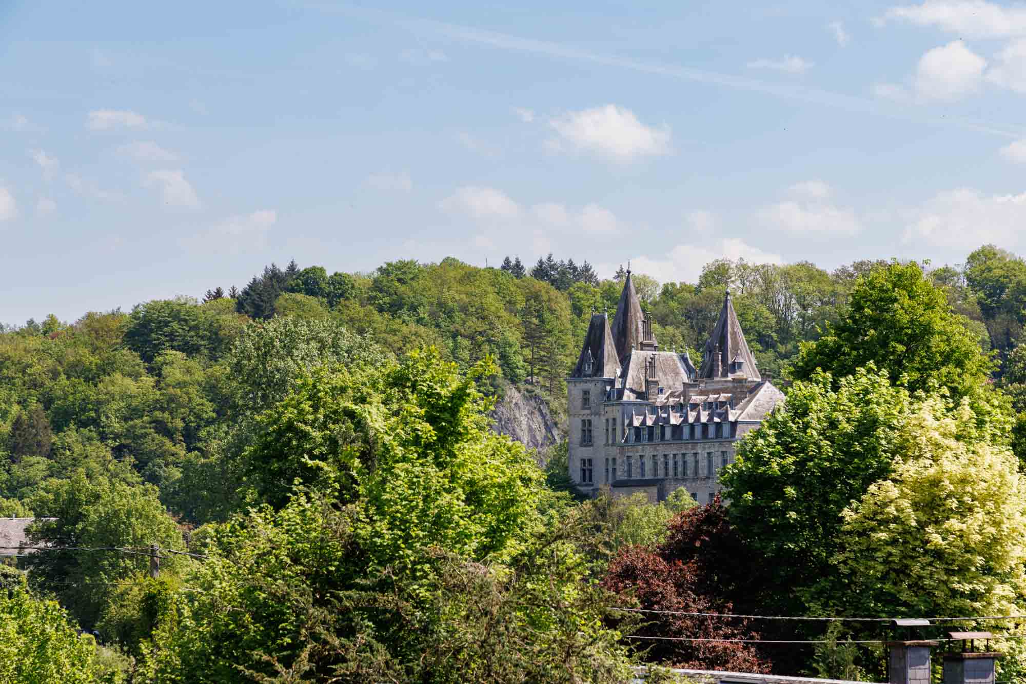 Vue sur le château de Durbuy