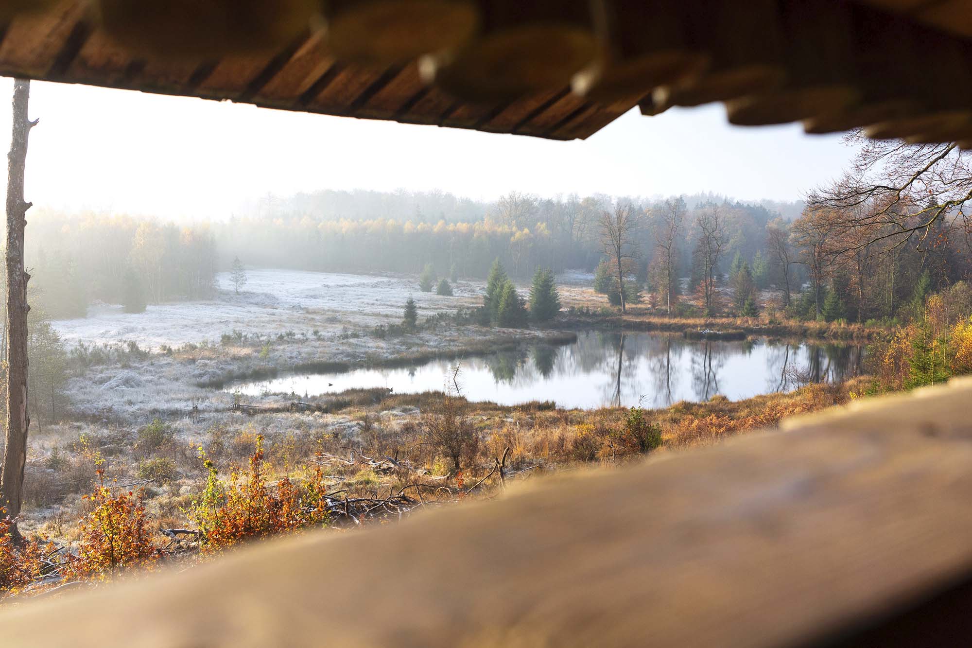 Bilaudevijver gezien vanaf het uitkijkpunt van de Barrière Mathieu