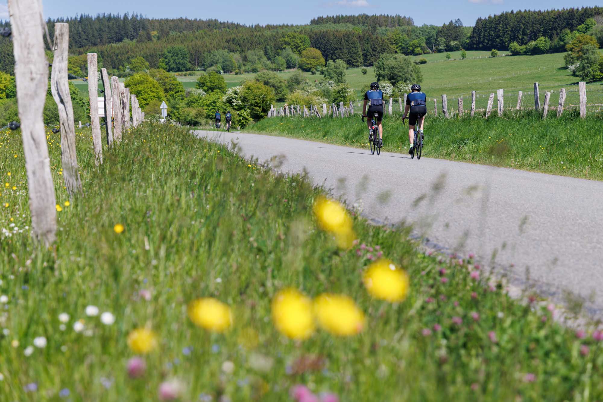 Cyclistes sur une route de campagne entourée de prairies à Lamorménil.