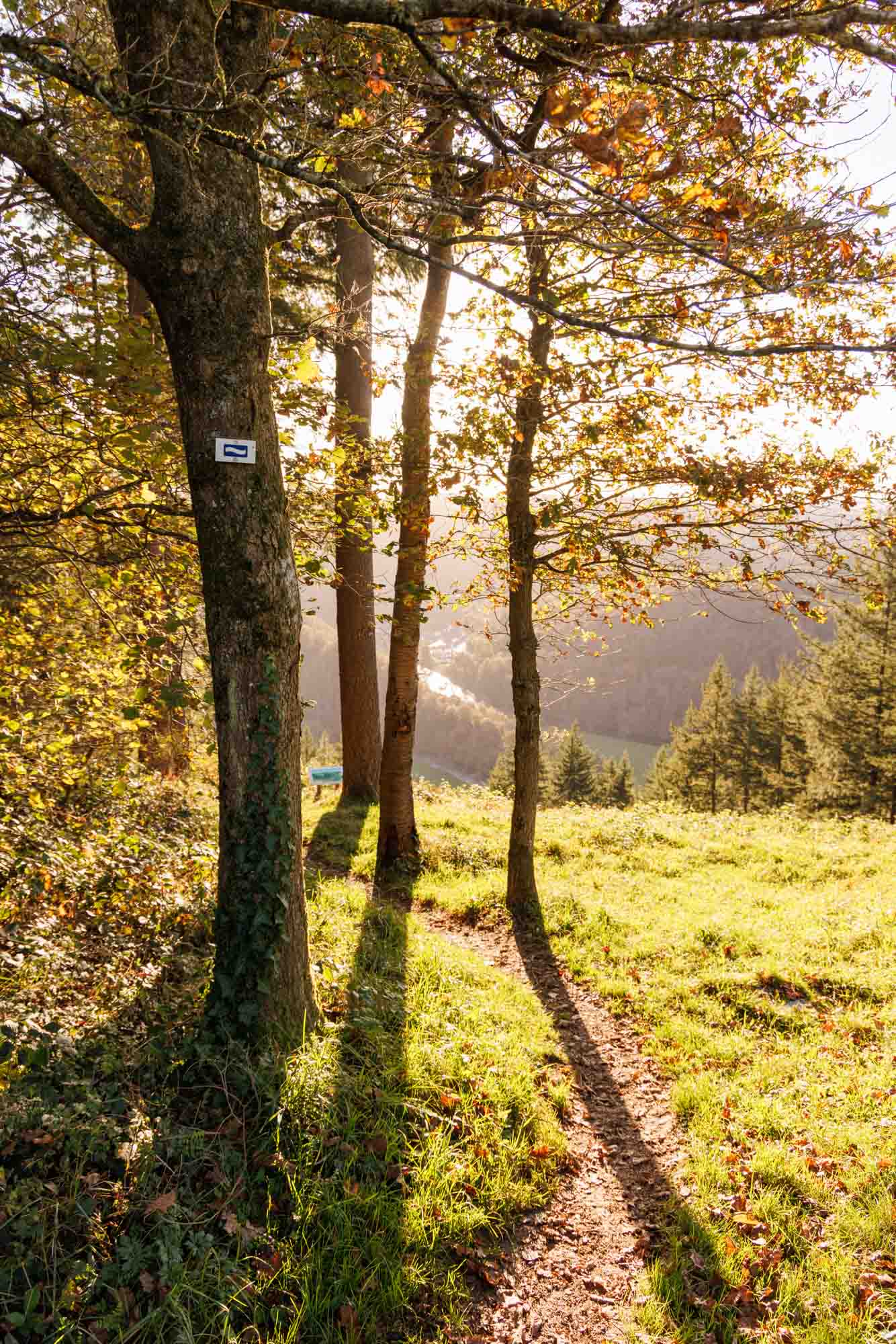 Sentier de randonnée au point de vue des Crestelles à Bérismenil