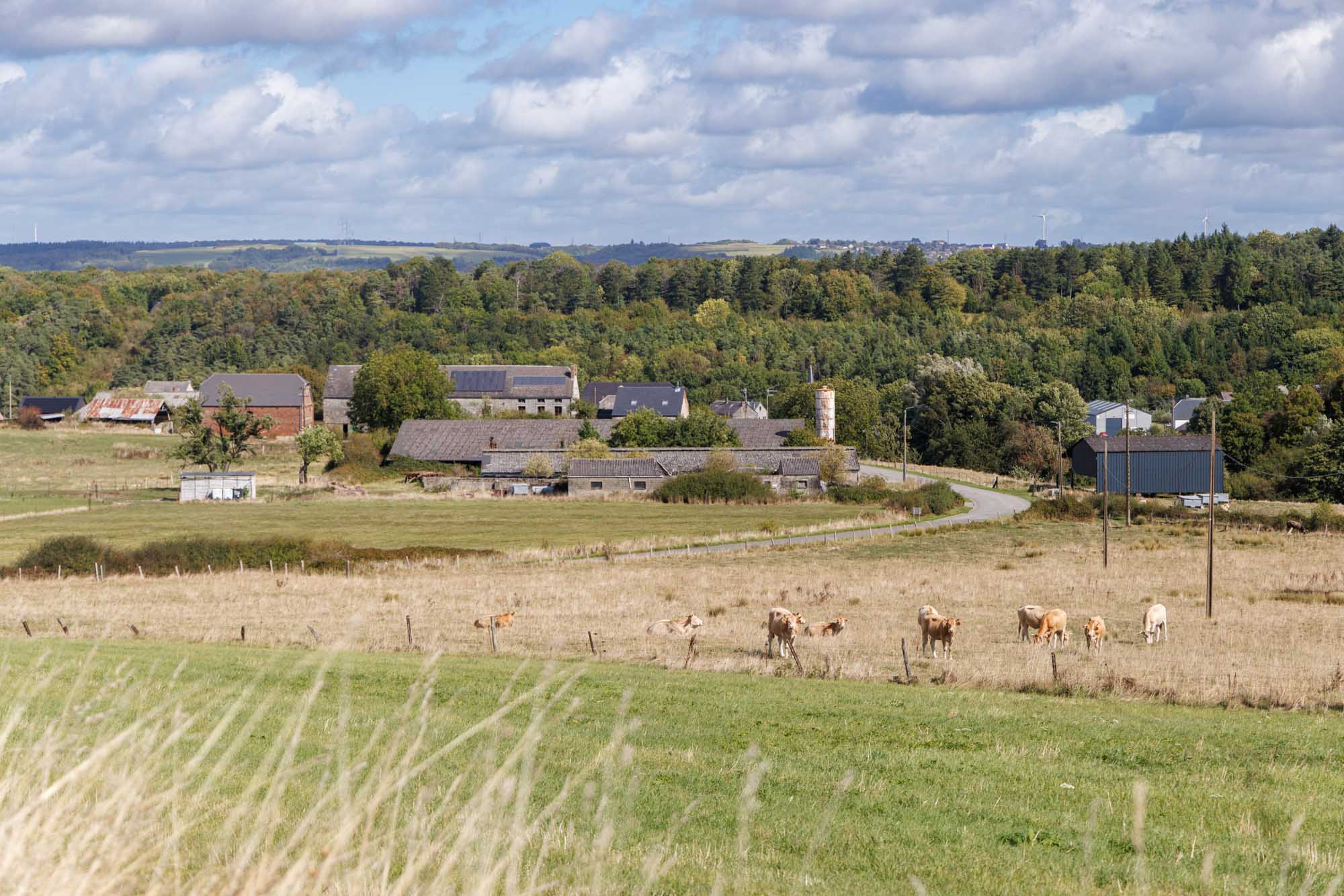 Dion met boerderijen omringd door weilanden en beboste heuvels