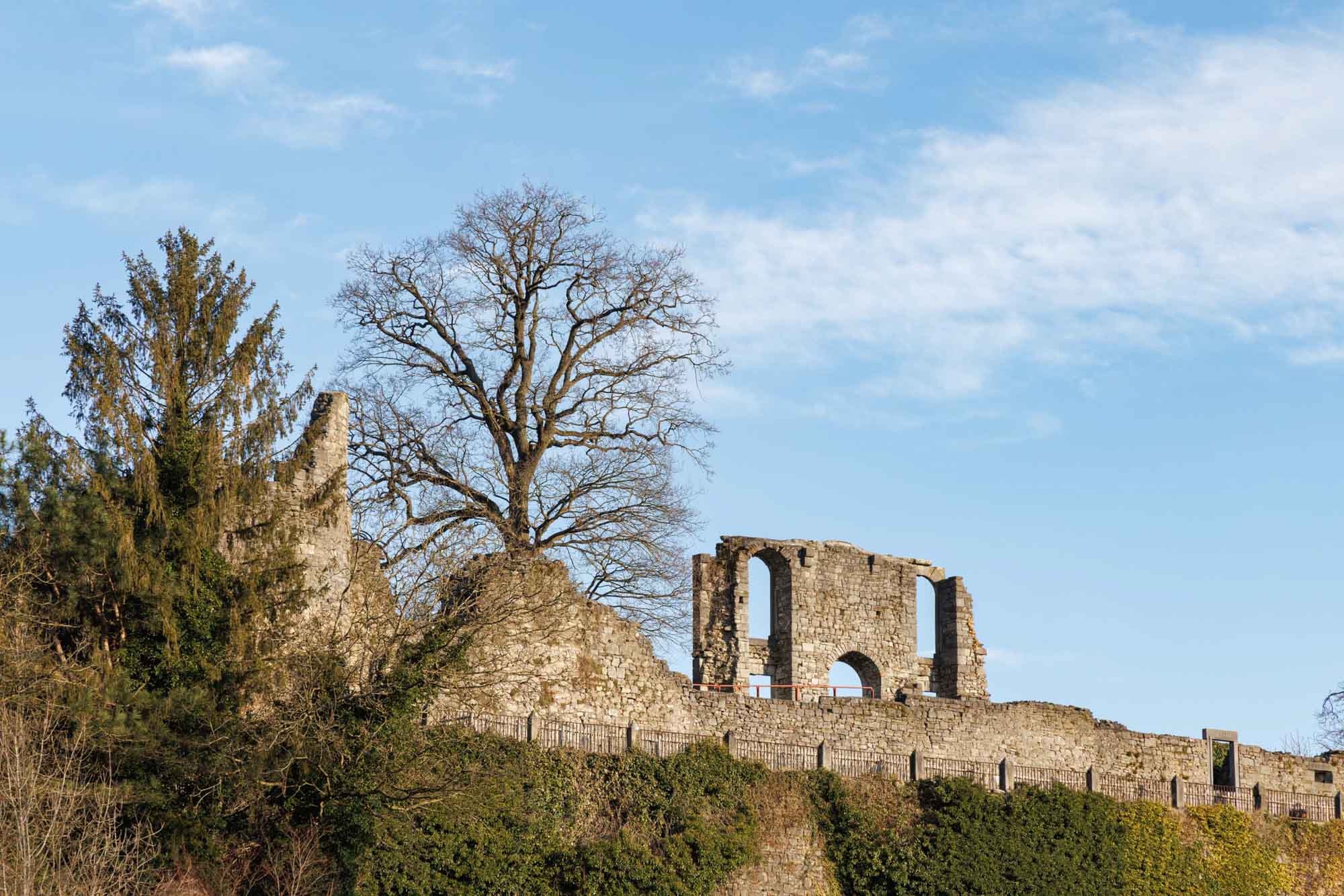 Ruïnes van het kasteel van Rochefort