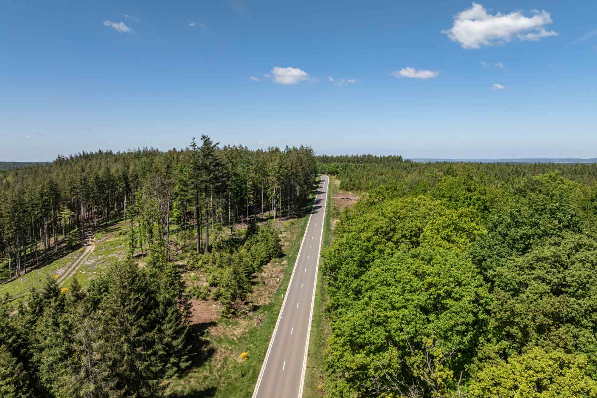 Vue aérienne de la route entre Eupen et Ternell traversant une forêt dense par temps clair.