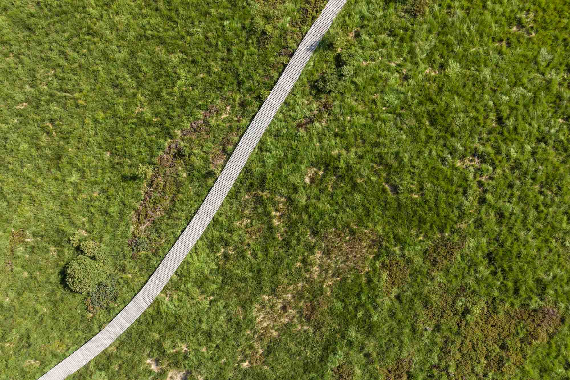 Duckboard in de Hoge Venen bij Baraque Michel
