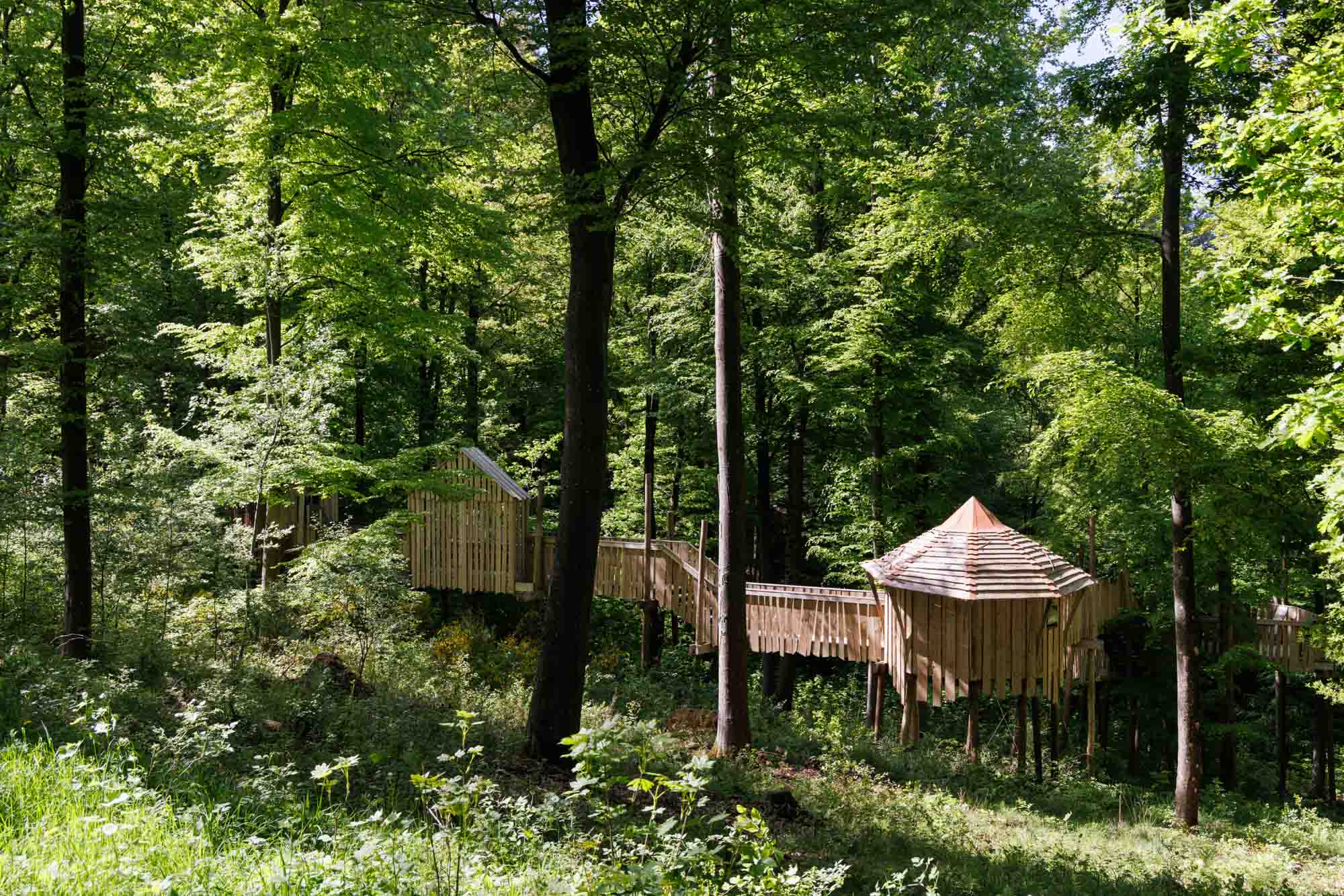 Parcours forestier du Parc Chlorophylle avec cabanes et passerelles en bois en Ardenne.